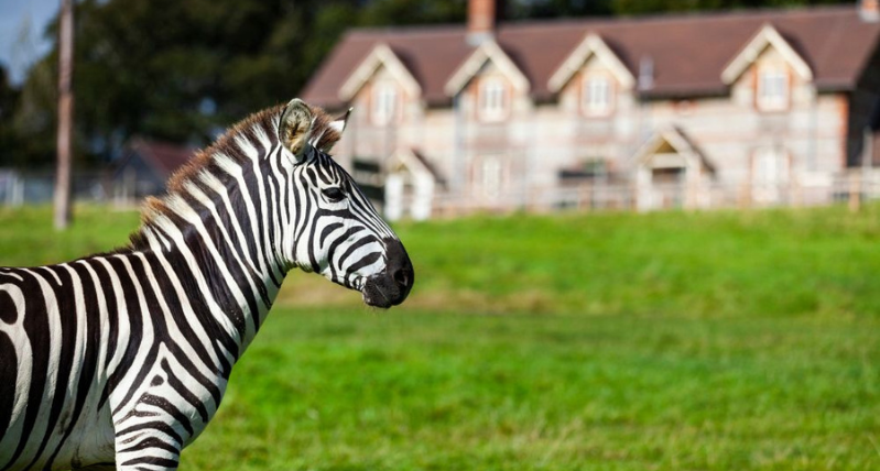 Stay at Longleat Cottages